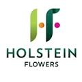 Holstein Flowers